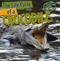 The Life Cycle of a Crocodile - MPHOnline.com