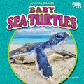 Baby Sea Turtles - MPHOnline.com