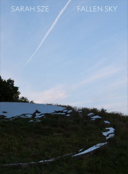 Sarah Sze - MPHOnline.com