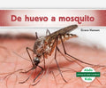 De huevo a mosquito / Becoming a Mosquito - MPHOnline.com