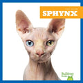 Sphynx - MPHOnline.com