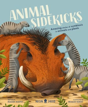 Animal Sidekicks - MPHOnline.com