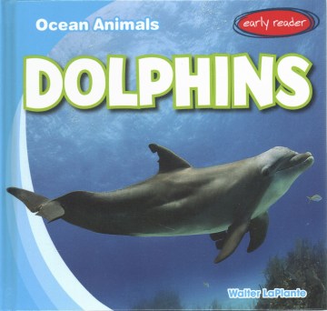 Ocean Animals - MPHOnline.com