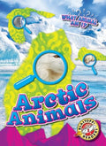 Arctic Animals - MPHOnline.com