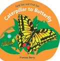 Caterpillar to Butterfly - MPHOnline.com