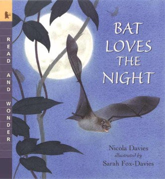 Bat Loves the Night - MPHOnline.com