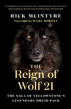 The Reign of Wolf 21 - MPHOnline.com