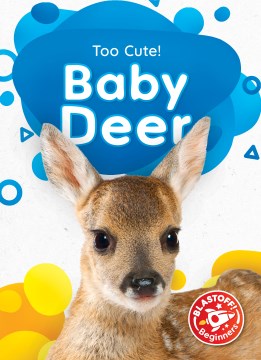 Baby Deer - MPHOnline.com