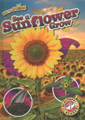 See a Sunflower Grow - MPHOnline.com