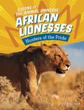 African Lionesses - MPHOnline.com