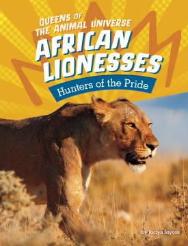 African Lionesses - MPHOnline.com