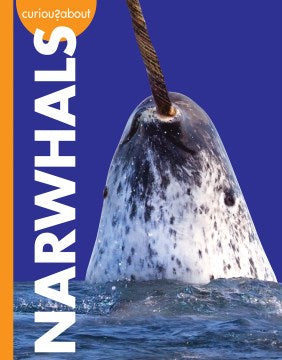 Curious About Narwhals - MPHOnline.com