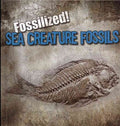 Sea Creature Fossils - MPHOnline.com