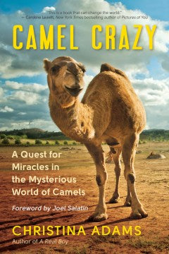 Camel Crazy - MPHOnline.com