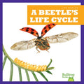 A Beetle's Life Cycle - MPHOnline.com