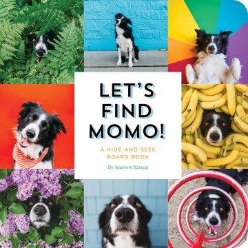 Let's Find Momo! - MPHOnline.com