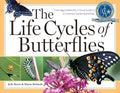 The Life Cycles of Butterflies - From Egg to Maturity, a Visual Guide to 23 Common Garden Butterflies - MPHOnline.com