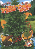 See a Pine Tree Grow - MPHOnline.com