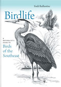 Birdlife - MPHOnline.com