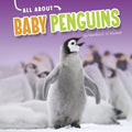 All About Baby Penguins - MPHOnline.com