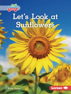 Let's Look at Sunflowers - MPHOnline.com