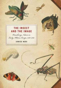 The Insect and the Image - MPHOnline.com