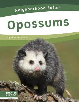 Opossums - MPHOnline.com