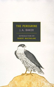 The Peregrine - MPHOnline.com