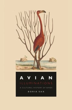 Avian Illuminations - MPHOnline.com