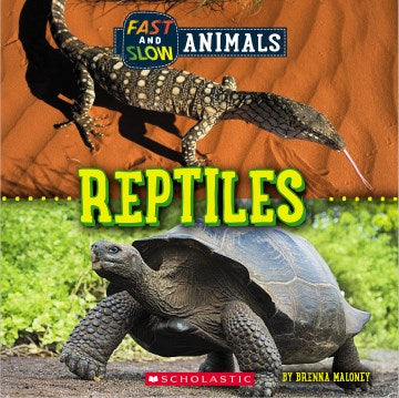 Reptiles - MPHOnline.com