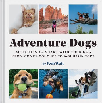 Adventure Dogs - MPHOnline.com