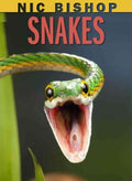 Snakes - MPHOnline.com