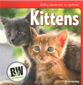 Kittens - MPHOnline.com