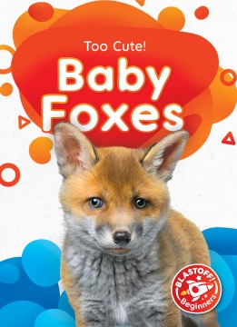 Baby Foxes - MPHOnline.com