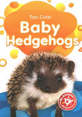 Baby Hedgehogs - MPHOnline.com