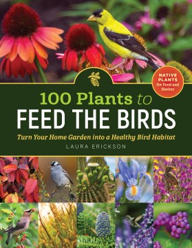 100 Plants to Feed the Birds - MPHOnline.com