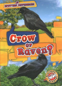 Crow or Raven? - MPHOnline.com