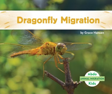 Dragonfly Migration - MPHOnline.com