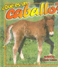 Que Es Un Caballo?/ What Is a Horse - MPHOnline.com