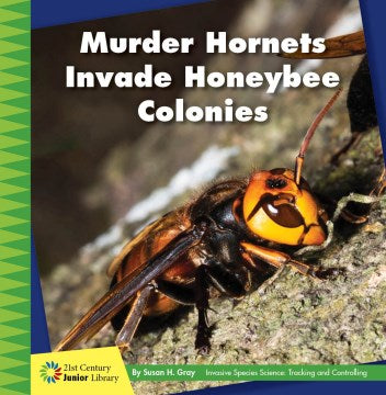 Murder Hornets Invade Honeybee Colonies - MPHOnline.com