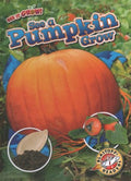 See a Pumpkin Grow - MPHOnline.com