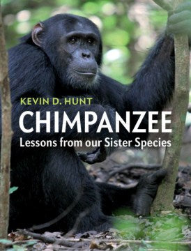 Chimpanzee - MPHOnline.com