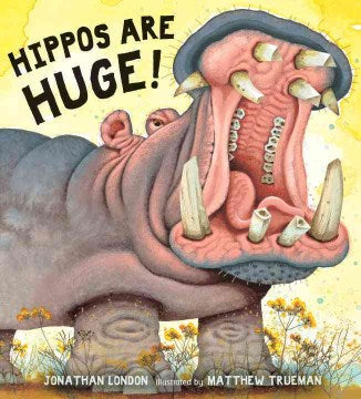 Hippos Are Huge! - MPHOnline.com