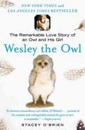 Wesley the Owl - MPHOnline.com