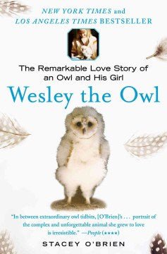 Wesley the Owl - MPHOnline.com