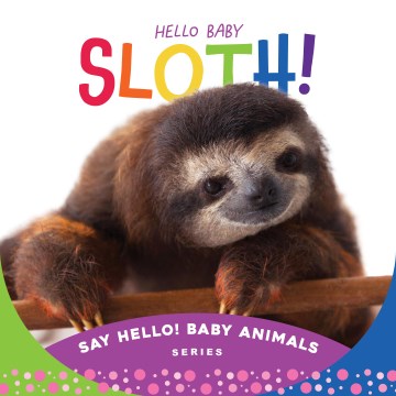 Hello Baby Sloth! - MPHOnline.com