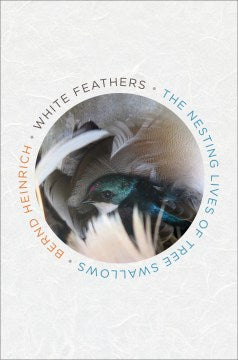 White Feathers - MPHOnline.com