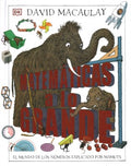 Matem?ticas a lo grande / Mammoth Math - MPHOnline.com