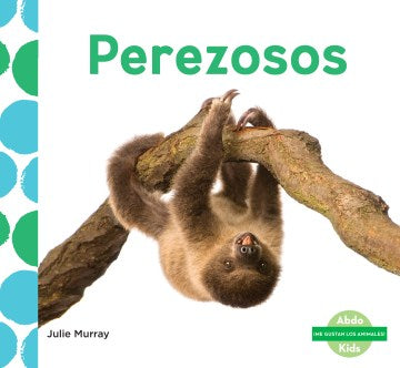 Perezosos / Sloths - MPHOnline.com