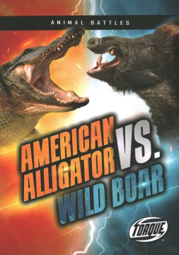 American Alligator Vs. Wild Boar - MPHOnline.com